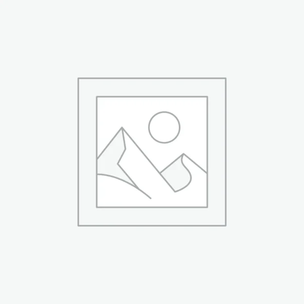 ZH-VT15E Electric Hybrid VTOL UAV